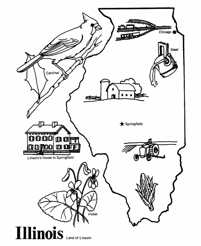 Illinois states project coloring pages fifty nifty united states