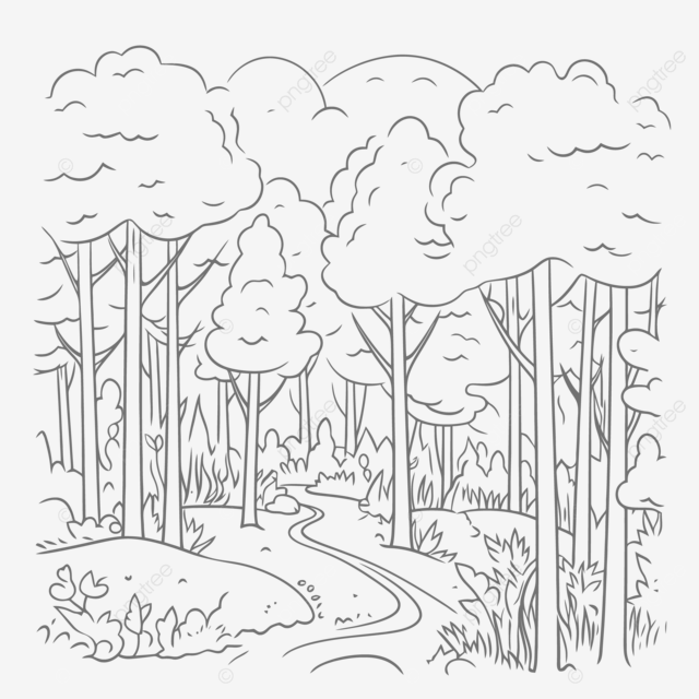 The woodland coloring pages outline sketch drawing vector wing drawing ring drawing land drawing png and vector with transparent background for free download