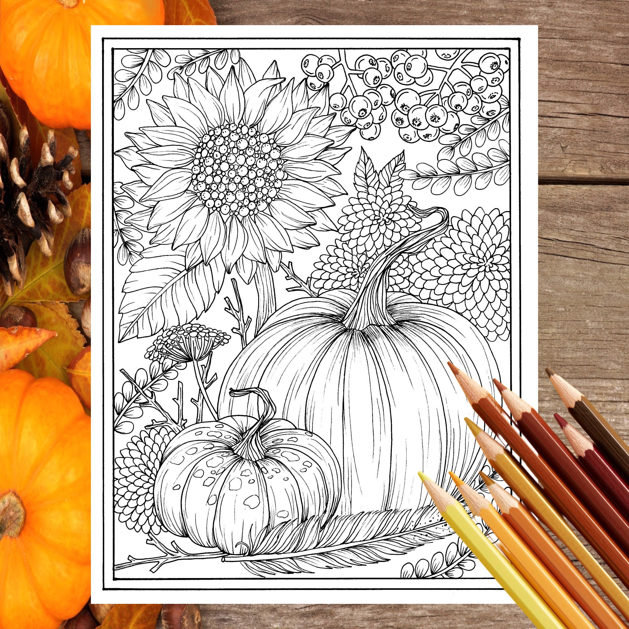 Fall flowers and pumpkins digital coloring page thanksgiving mums sunflower autumn digi stamp