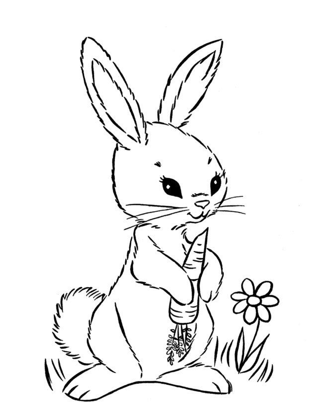 Dibujos para pintar de conejos dibujos para colorear de conejos bunny coloring pages easter coloring book easter bunny colouring