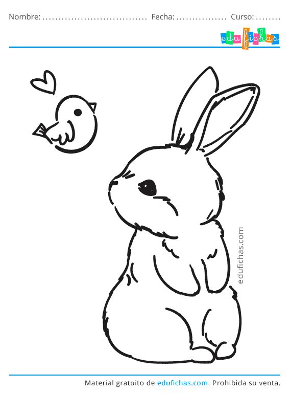 Dibujos de conejos para colorear dcarga gratisãpdfã dibujo de conejo gatito para colorear libro de color