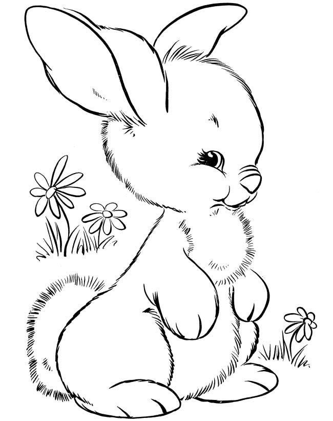 Dibujos de conejos pa imprimir imãgenes y fotos easter bunny colouring animal coloring pages cute coloring pages