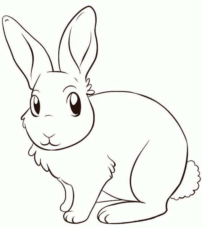 Conejo para colorear imãgenes y fotos cute pet printables free coloriage lapin dessin lapin pages ã colorier des animaux