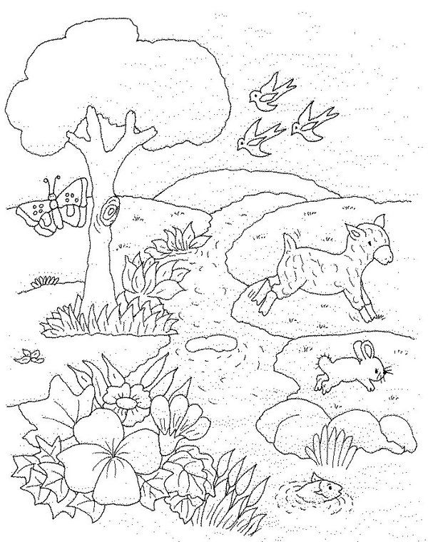 Coloring pages diy and crafts color