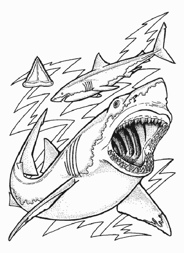 Dibujos para colorear de tiburones