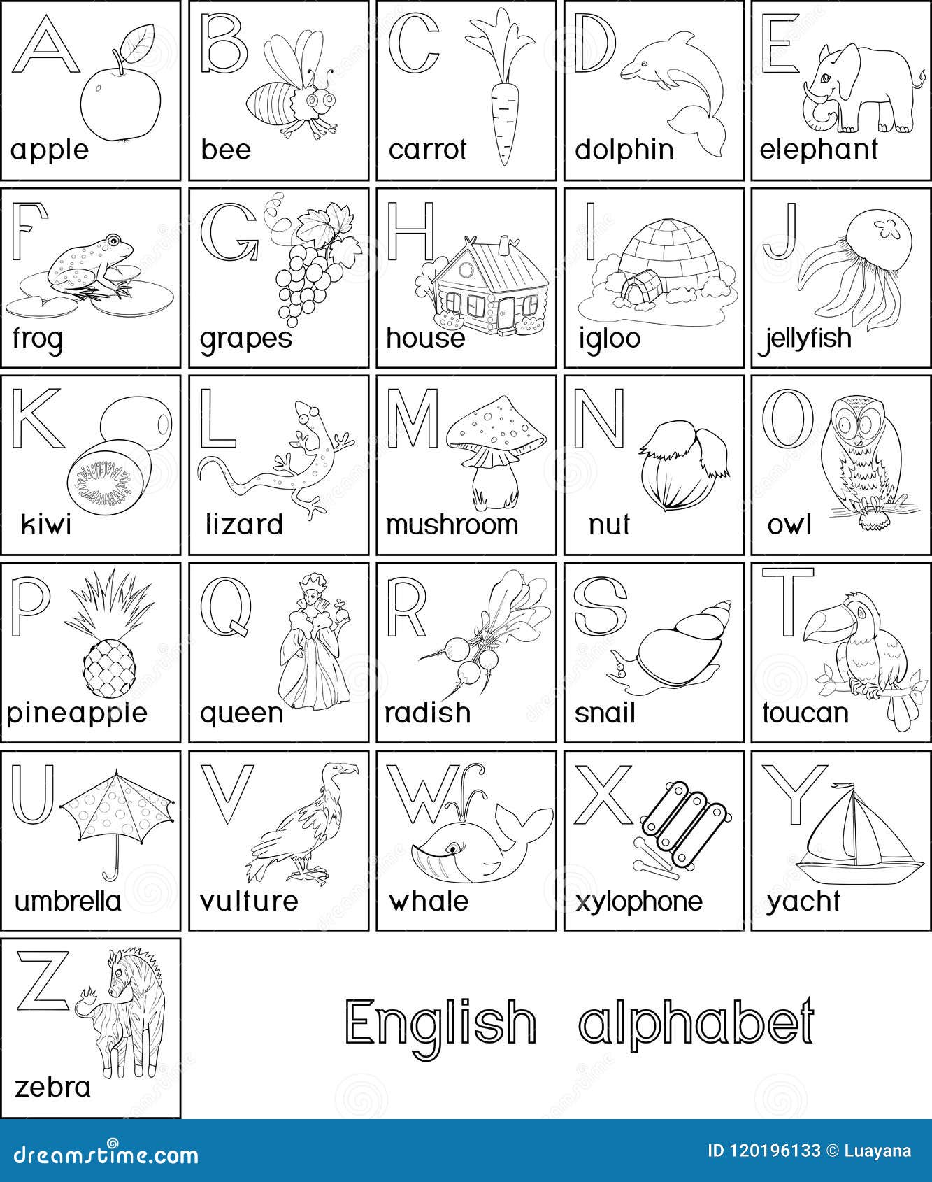 Coloring page english alphabet with pictures and titles for children education stock vector