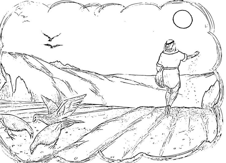 Parable of the sower coloring pages pãginas para colorear el sembrador parabola del sembrador