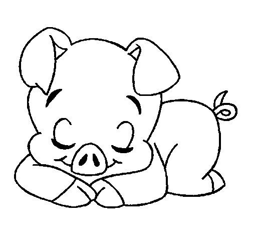 Dibujo de cerdito para colorear dibujos de chanchitos pãginas para colorear de animal pãginas para colorear