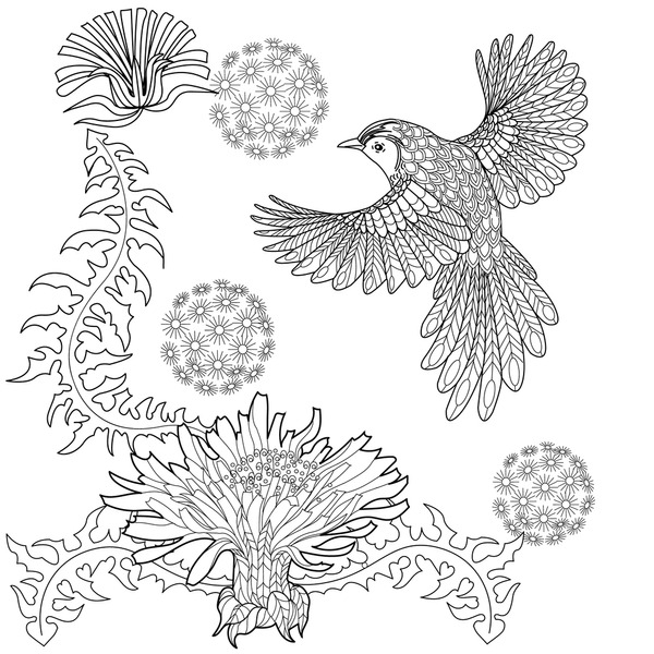 Coloring book bird zen art mãs de ilustraciones y dibujos de stock con licencia libres de regalãas