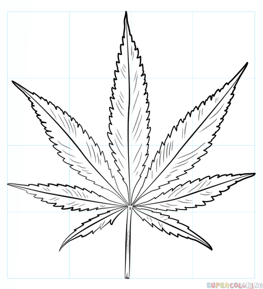 Cãmo dibujar una hoja de cannabis tutorial de dibujo paso a paso