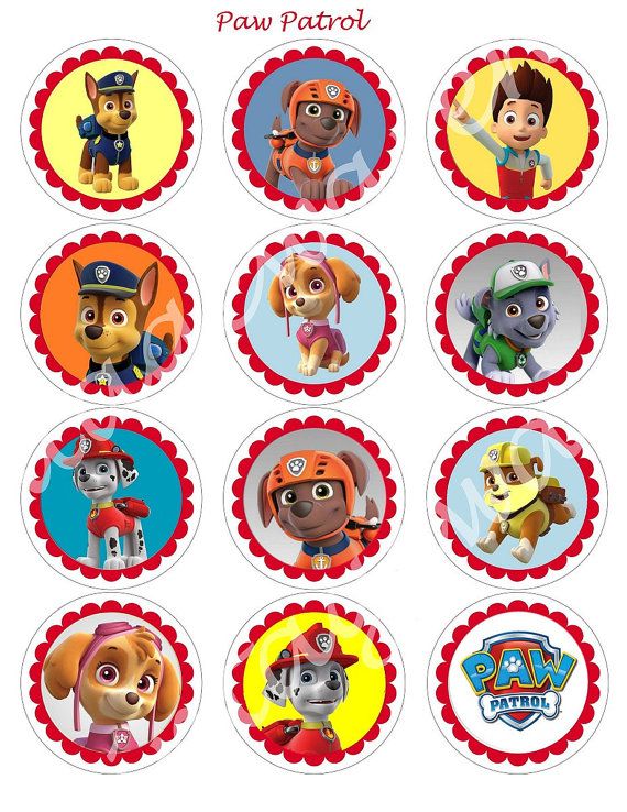 Paw patrol spring into action