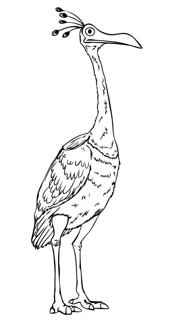 Beautiful disney up character kevin the bird coloring page