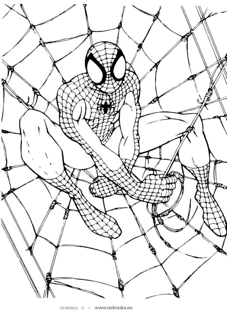 Marvelous image of free spiderman coloring pages