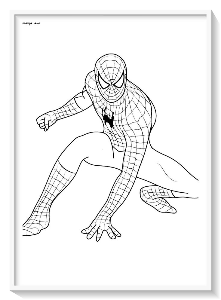 Los mãs lindos dibujos de spiderman hombre araãa para colorear y pintar a todo color imãgenes prontaâ spiderman drawing spiderman coloring spiderman painting