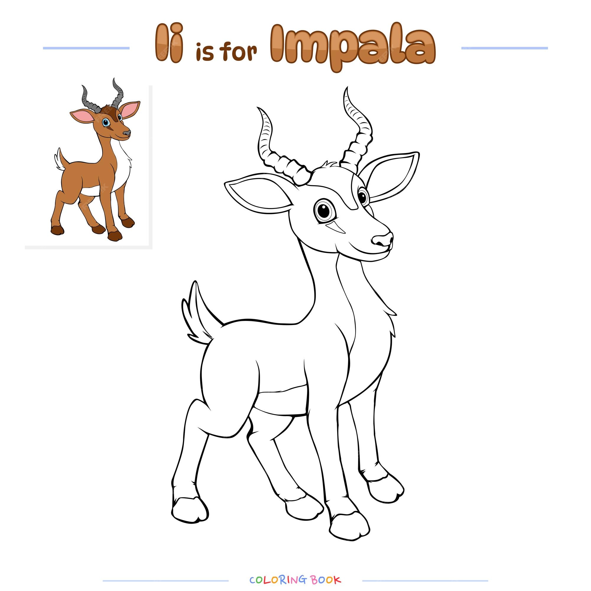 Premium vector coloring page impala antelope cartoon