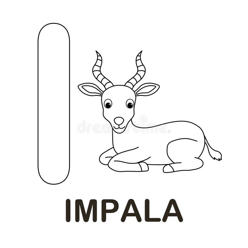 Impala coloring stock illustrations â impala coloring stock illustrations vectors clipart