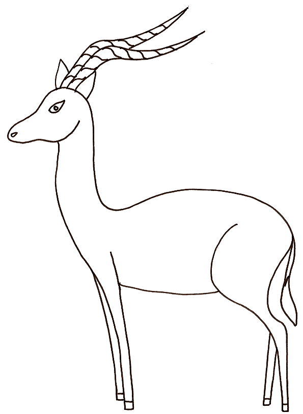 Impala coloring page