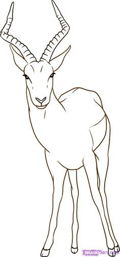 How to draw an impala step by step for kids