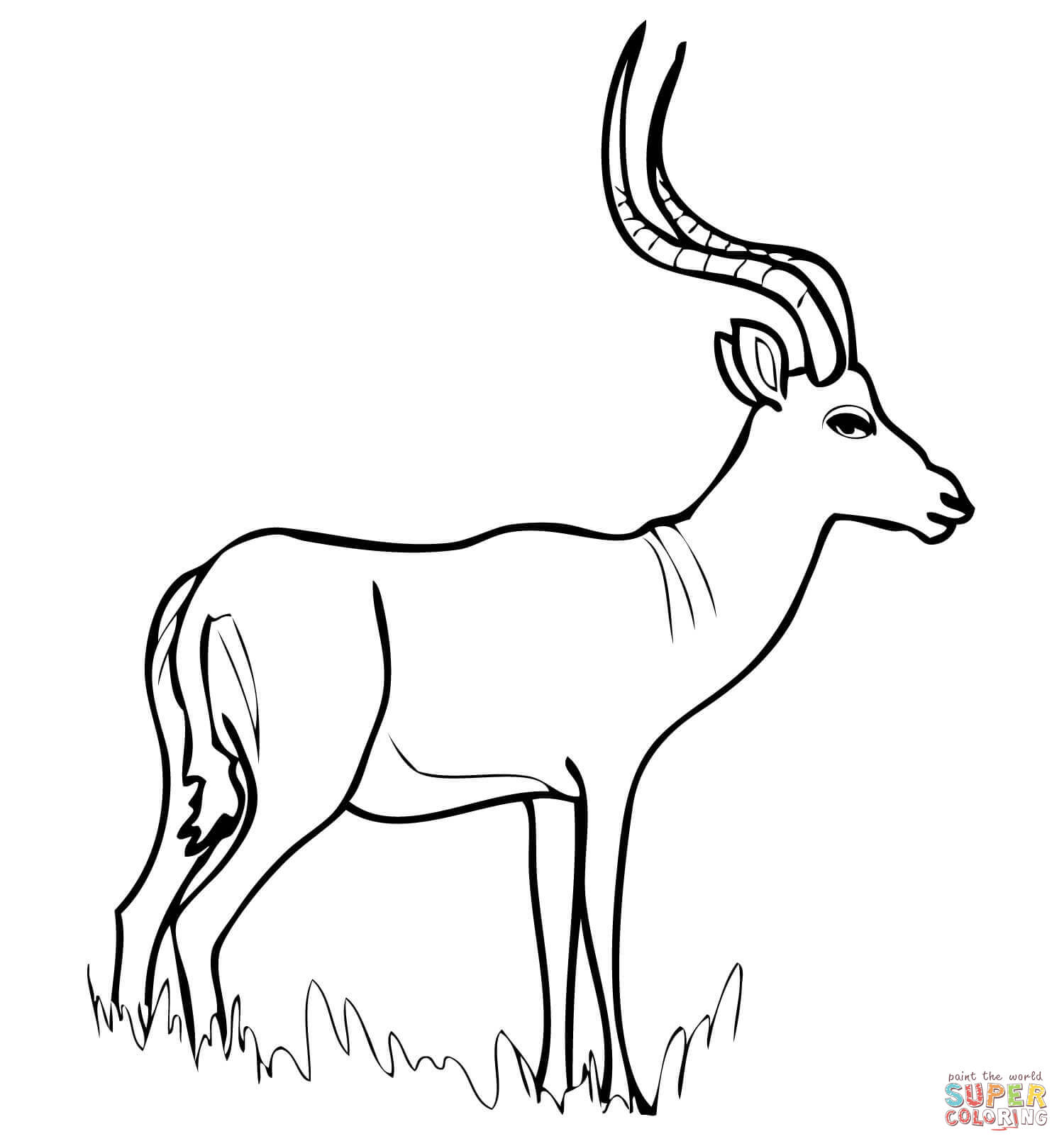 African antelope impala coloring page free printable coloring pages