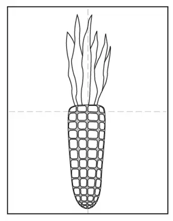 Easy how to draw corn tutorial video and corn coloring page