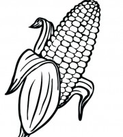 Top corn coloring pages for your little ones coloring pages