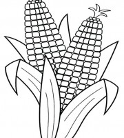 Top corn coloring pages for your little ones coloring pages