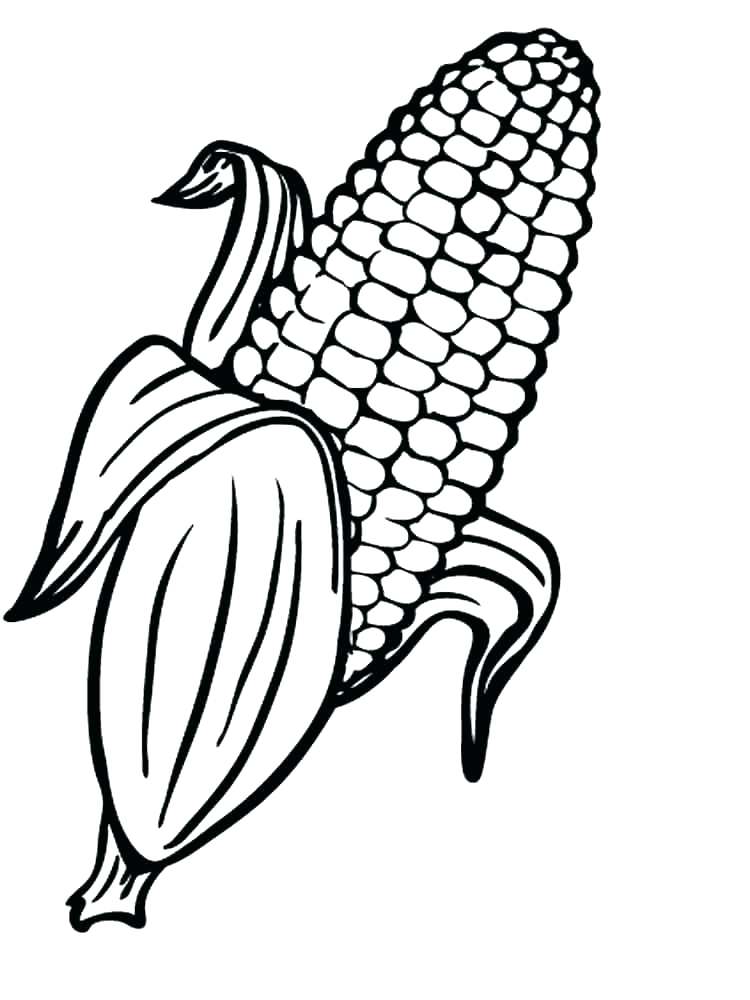 Corn coloring pages