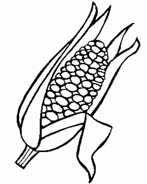 Indian corn coloring page thanksgiving coloring pages food coloring pages coloring pages