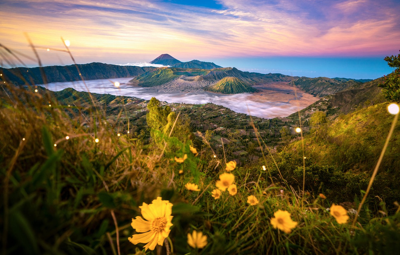 Wallpaper grass clouds landscape flowers nature island valley indonesia volcanoes bokeh national park bromo java bromo