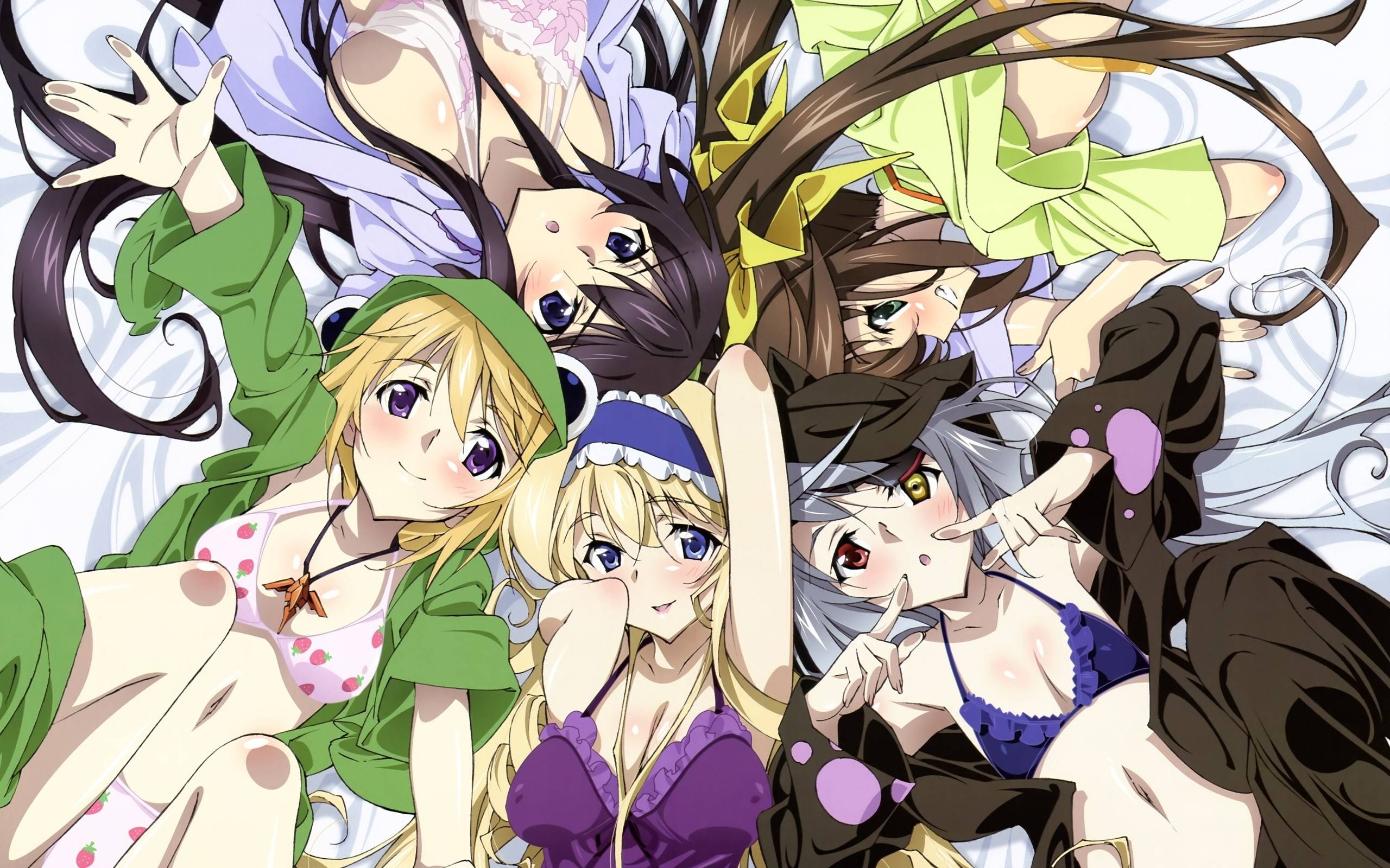 Anime wallpaper infinite stratos 1920x1200 129127 es