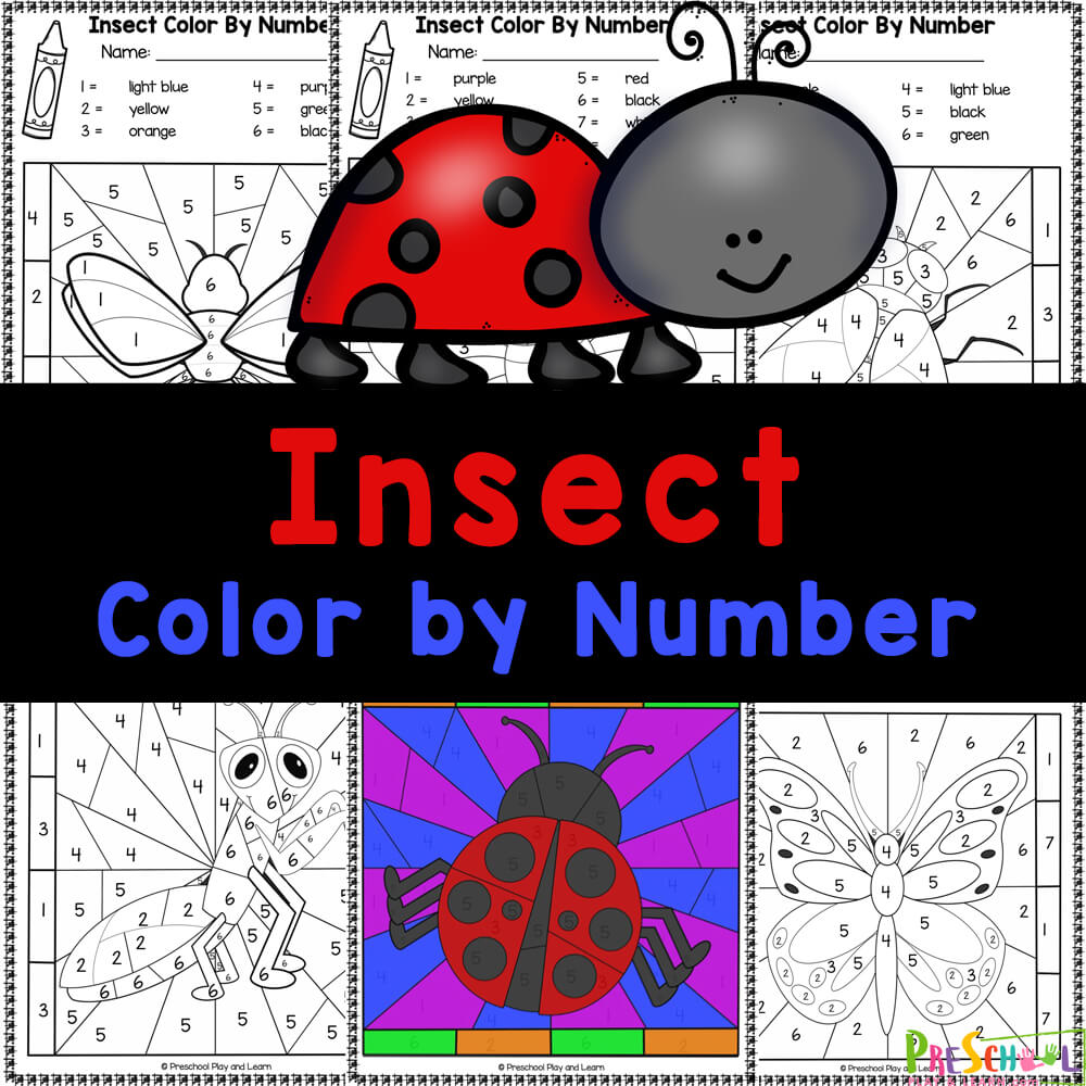 Ð free insect color by number bug worksheets