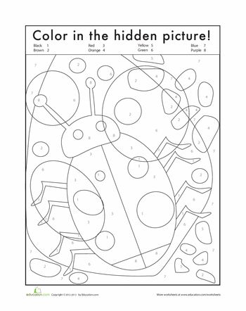 Hidden bug worksheet education bug coloring pages worksheets for kids worksheets