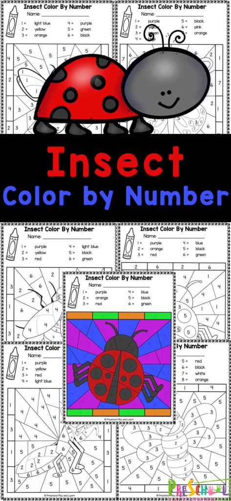 Ð free insect color by number bug worksheets