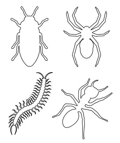 Insects and bugs coloring page