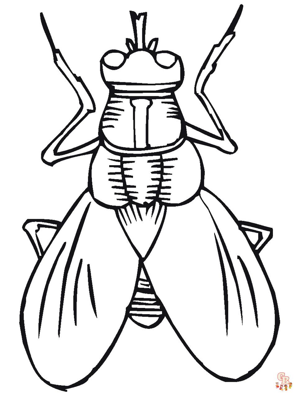 Bug coloring pages