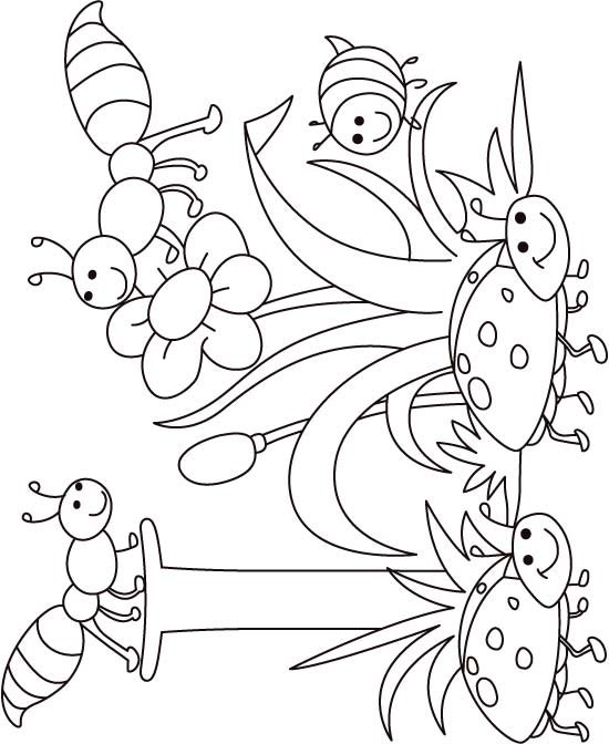 I for insect coloring page for kids download free i for insect coloring page for kids for kids best coloring pages