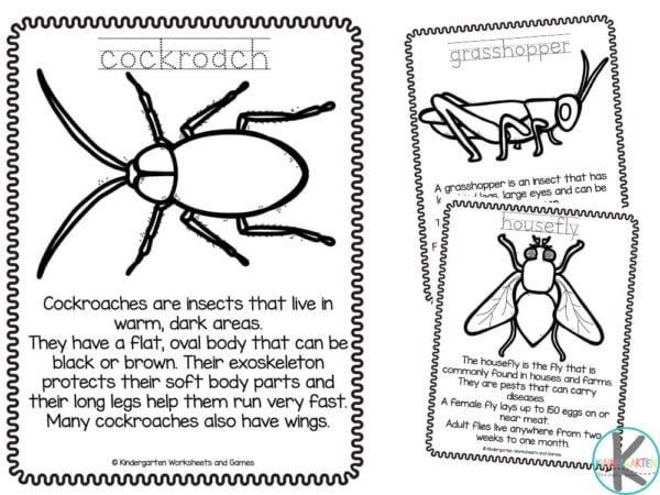 Ð free insects coloring pages for kids