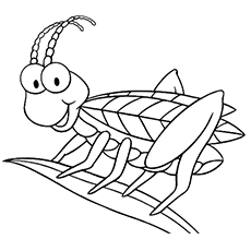 Top free printable bug coloring pages online