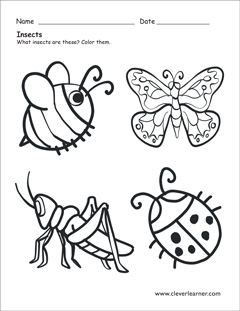 What is an insect worksheets for preschools