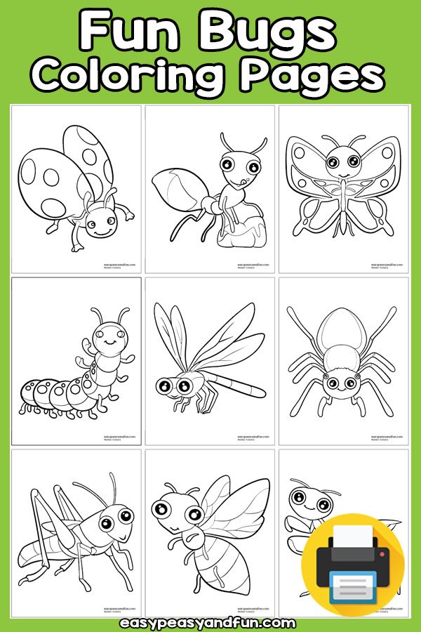 Fun bugs coloring pages bug coloring pages preschool colors coloring pages