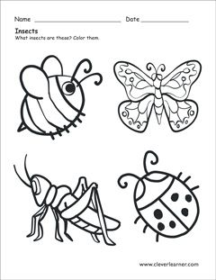 Insect coloring sheet insects preschool insects theme preschool bugs preschool