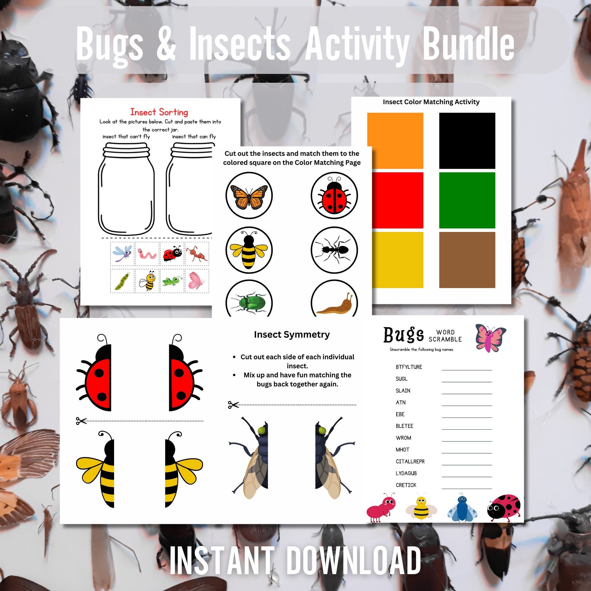 Insects match and sort bug activity printable size sorting symmetry match the color preschool printable activity bugs and insects