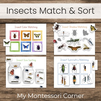 Insects match sort activities