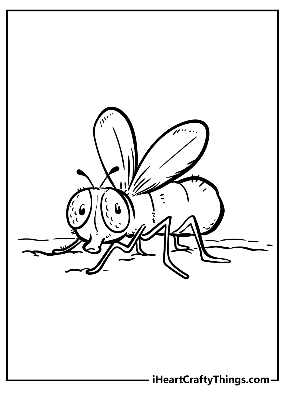 Insect coloring pages free printables