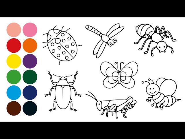 Animales insectos dibujar y colorear para niãos