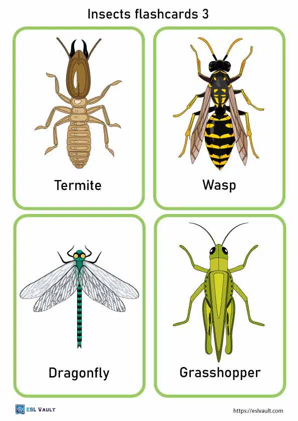 Free printable pdf insects flashcards