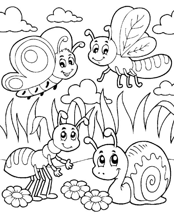 Insect coloring pages