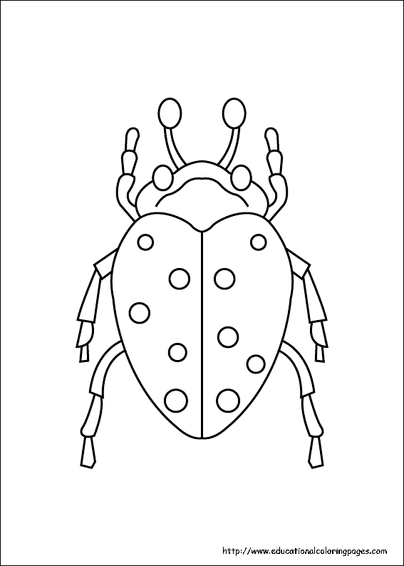 Insects coloring pages free for kids