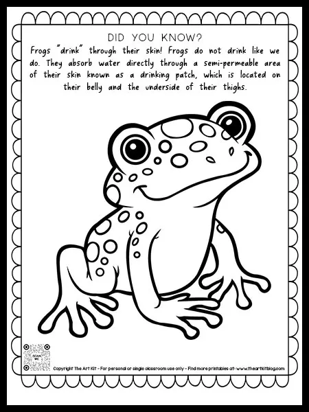 Frog coloring page with fun fact they use their eyes to swallow â free printable â the art kit