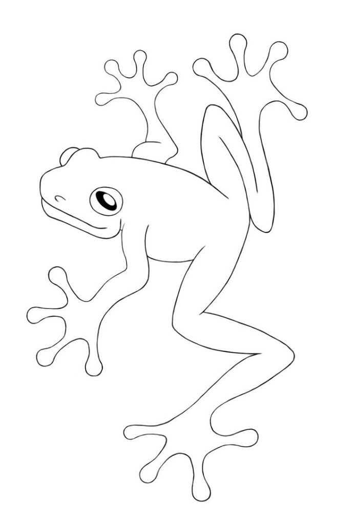 Tree frog coloring pages frog coloring pages coloring pages coloring books